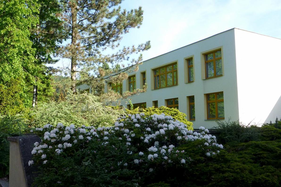 Penzion Fit Velké Losiny Exteriör bild